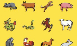 属鸡和属狗的适合做夫妻吗（属鸡的和属狗的适合做夫妻吗）