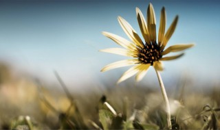 很霸气的句子 很励志很霸气的句子