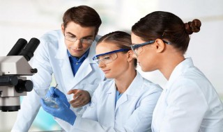 氨基酸主要功效与作用（氨基酸主要功效与作用有哪些）