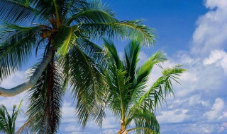 失恋安慰的话 朋友失恋安慰的话