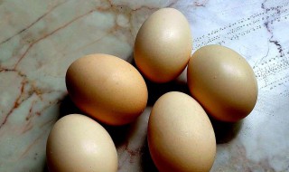 熟鸡蛋能放几天 煮的熟鸡蛋能放几天