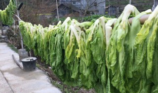 大量蔬菜要怎么保存 大量蔬菜要怎么保存呢