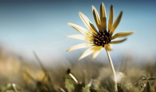 正能量简单一句话 早安朋友圈正能量简单一句话