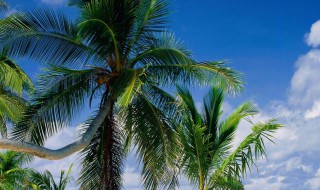 令人心痛到心碎的句子（令人心痛到心碎的句子50句）