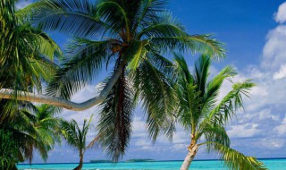 人生励志的句子 人生励志的句子经典语句 我做的事是喜欢的