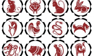 猴跟什么生肖配对最好（04猴跟什么生肖配对最好）