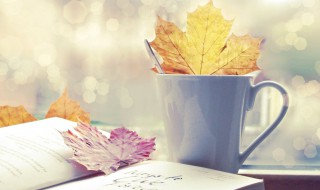 非主流的话（非主流的话经典繁体）