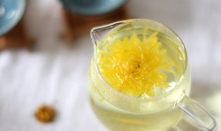 菊花泡水喝有什么好处（菊花泡水喝的功效与作用）