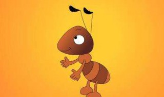 红火蚁咬伤怎么处理（红火蚁咬伤怎么治）