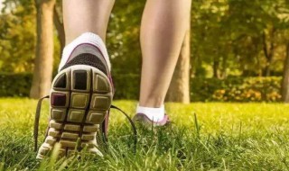 走路的好处（走路的好处功效与作用）