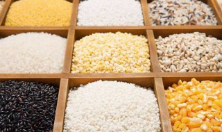 吃杂粮怎样减肥（怎么吃杂粮可以减肥）