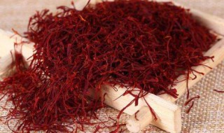 藏红花和红花的区别 藏红花和红花的区别图片