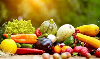 病人吃什么有营养（老人病人吃什么有营养）