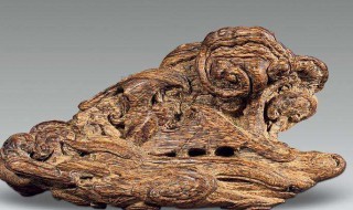 沉香木和沉香的区别 沉香木和沉香哪个好