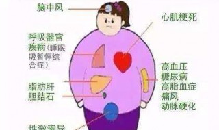 减肥不掉秤的十大原因（为什么明显瘦了却不掉秤）