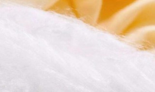 桑蚕丝和柞蚕丝的区别（天蚕丝和桑蚕丝区别）