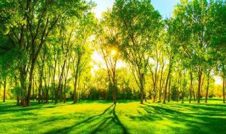 灰尘的好处 怎么去除空气中的灰尘