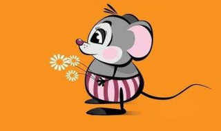 生肖鼠和什么生肖最配 1996年生肖鼠和什么生肖最配