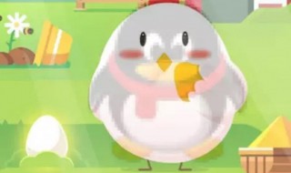 小鸡高级饲料怎么获得（小鸡宝宝怎么样才能快速获得饲料）