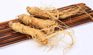 西洋参和人参的区别（西洋参和人参的区别的功效与作用百度百科）