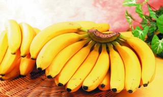 近视眼吃什么好 近视眼怎么慢慢恢复视力