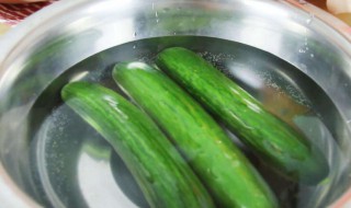 冰箱怎么保存青瓜 冰箱怎么保存青瓜不会坏