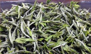 保存生茶的方法（生茶储存方法）