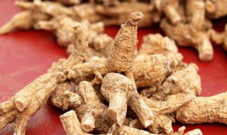 西洋参有什么作用和功效 西洋参市场价