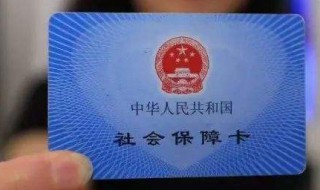 网上如何缴纳养老保险费（网上如何交养老保险费）