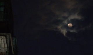 晚安的朋友圈说说（晚安的朋友圈说说最新）