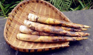 冬笋怎么找准位置 冬笋怎么找准位置图片