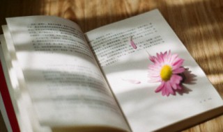 生活的说说（正能量的经典句子）