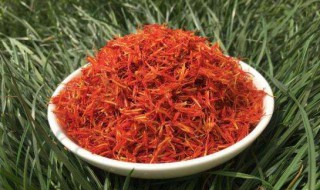 红花和藏红花的区别 红花和藏红花的区别作用