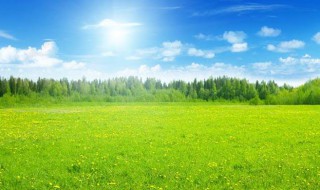 朋友圈晒风景的说说 一句简短的风景句子