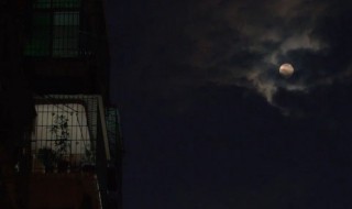 想念一个人的暖心说说 高情商的女人表达想念