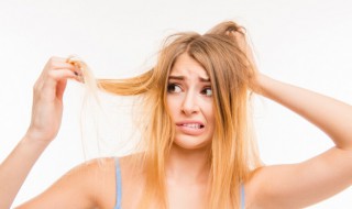 掉头发要补充什么营养（掉头发要补充什么营养素）