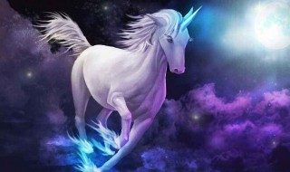 独角兽是什么意思（独角兽企业）