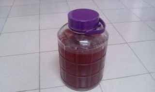 自制葡萄酒的危害（自己在家怎样酿酒）