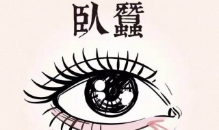 卧蚕和眼袋有什么区别（卧蚕和眼袋有什么区别 对照）