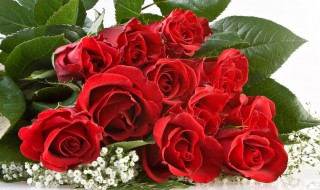 大学教师节的礼物都有什么（大学教师节礼物送什么实用）