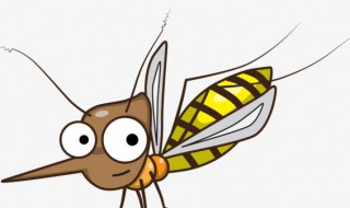 蚊子咬了以后如何止痒 蚊子咬后怎么快速止痒消肿