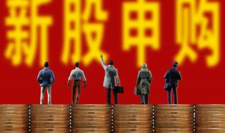 创业板新股发行后几日上市（创业板新股发行后几日上市申购）