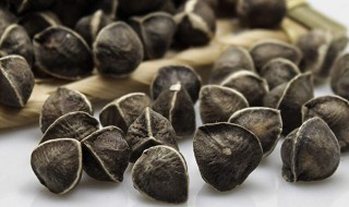 辣木籽都有什么功效（辣木籽都有什么功效男人）