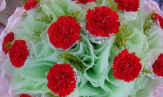 教师节送什么花好送几朵（教师节送什么花好最合适）