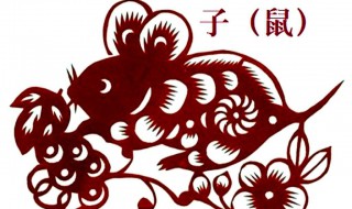 本命年要注意什么属鼠 本命年老鼠要注意什么