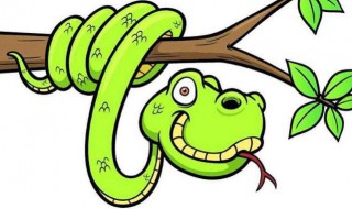 梦到蛇了是什么预兆 结婚女人梦到蛇了是什么预兆