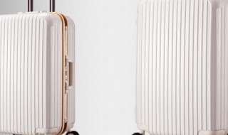 行李箱密码忘了怎么开锁（行李箱密码忘了怎么重新设置）