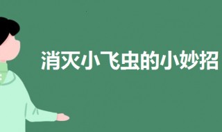 家里有小飞虫怎么消灭（家里卫生间有小飞虫怎么消灭）