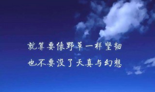 励志说说致自己短语（励志说说致自己短语霸气2020）