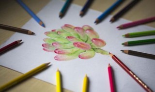 水溶性彩铅和油性彩铅的区别（水溶性彩铅可以擦掉吗）